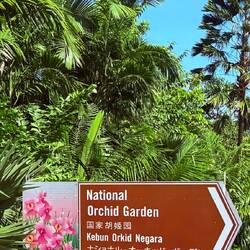 The Orchard Garden, part of the Botanical Garden