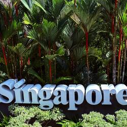 The Singapore botanical garden is free; it was selected as a UNESCO site.