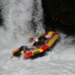 One of our new Belgian friends rolling over Chris' back