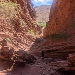 Benno besonders gern 🥰