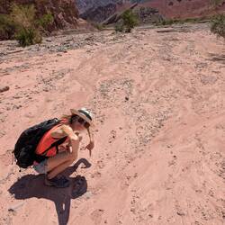 Und dank Fährtenleserin Mona finden wir auch ohne Ortungsapp den Weg (raus) 😉