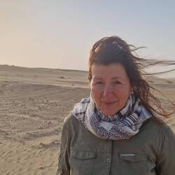 Der Wind bläst heftig