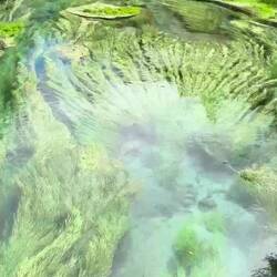 Check out how clear the water is!!