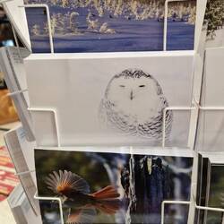 Es gibt sogar Postkarten von Bubo hier