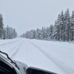Schnee Schnee