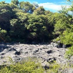 Mud pools