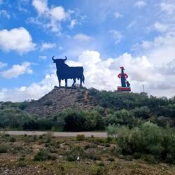 Der Osborne-Stier und Tio Pepe🍷