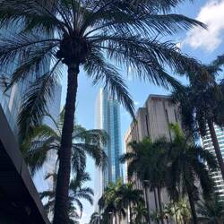 Financial centre - and looks it!