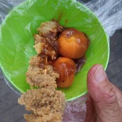 Chicken and quail eggs