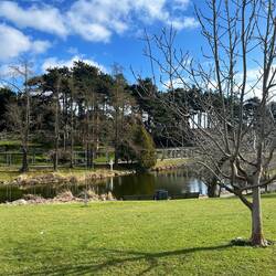 Botanischer Garten 🪴