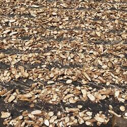 Wird in Säcke verpackt und nach China verkauft