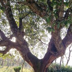 Da schauen wir drauf. Und rechts davon ...