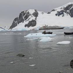 Penguins abandoning the iceberg as zodiacs arrive
