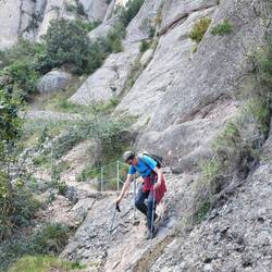 Eine knifflige Stelle meistert Wolli mit Bravour.