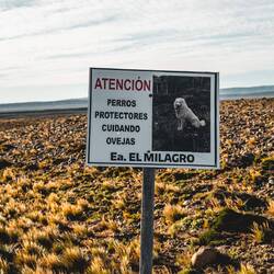Warnschild für Herdenschutzhunde (gegen Pumas)