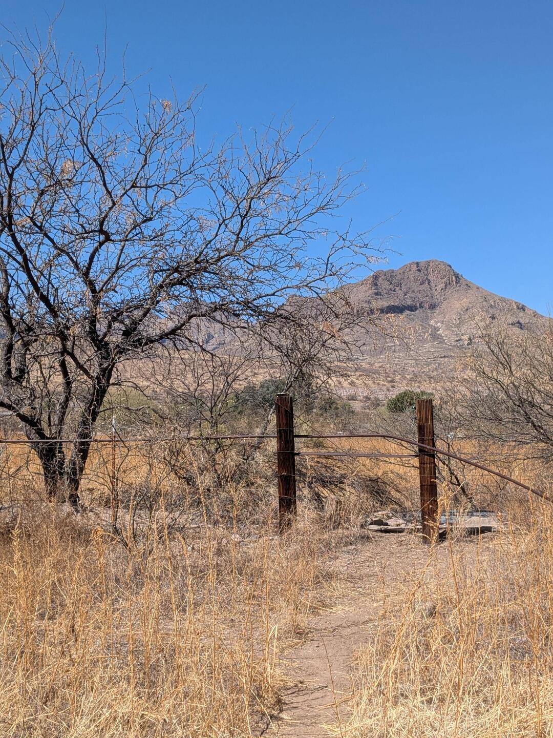 Another nice sunny day