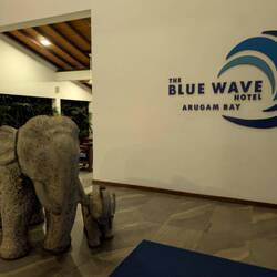 The elephant at our hotel!