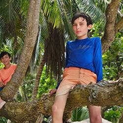 If there are trees and there are boys then there will be boys in trees
