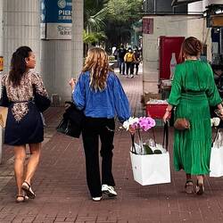 Snapshot auf dem Heimweg – Orchideentransport ambulant in Hongkong…