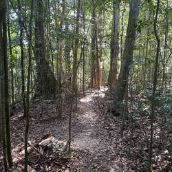 Unterwegs uf em Trail ☺️🌳