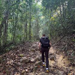 Unterwegs uf em Trail ☺️🌳