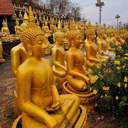 Und unzählige kleine davon zieren die Umgebung.