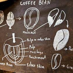 Bolaven Plateau Coffee Producers Cooperative Cafe (Lak 40)