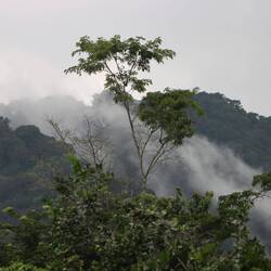 Ein Sturm zieht auf...