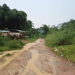 ... anschließend wird die Straße nach Gold abgesucht