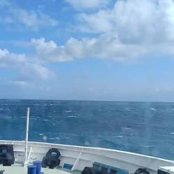 Seegang. Es rauscht ganz schön