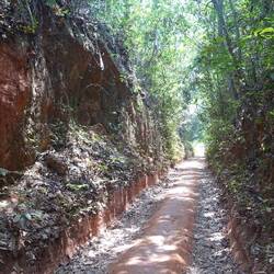 Hier wurde der Pfad durch das Gestein geschnitten
