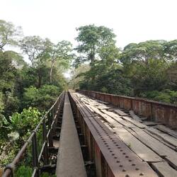 Eine größere Brücke - zum Glück kann ich links vorbei und muss nicht über die Hölzer