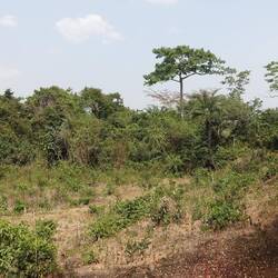 Hier ist die Railway-Road einspurig - nur noch wie ein kleiner Pfad