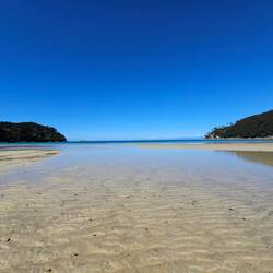 Bark bay: c'est marée basse!
