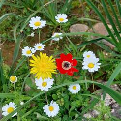 Für Franzi 🥰🥰🥰