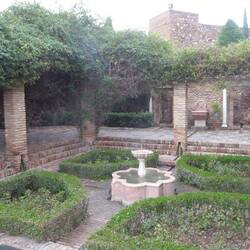 One of several planted courtyards