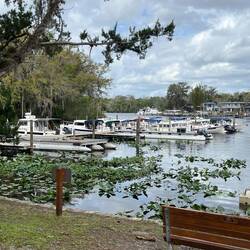 Many more C-Dory's this afternoon.  This is the west dock.