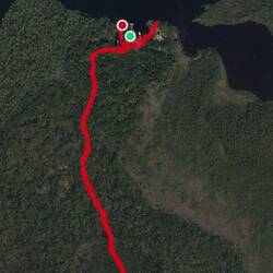 Walking path that Rosanne and I took on the Island.