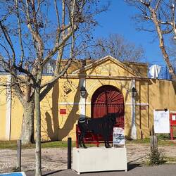 Hier ist Stierkampf leider noch Tradition 😒