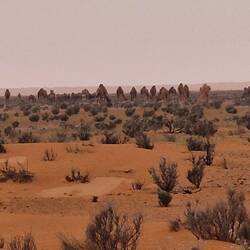Heute über 5 Herden gestolpert