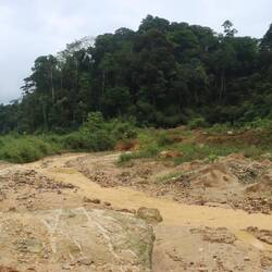 Wir laufen den Fluss hinauf...