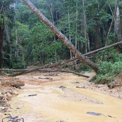 Der Fluss ist durch den Waschprozess braun gefärbt