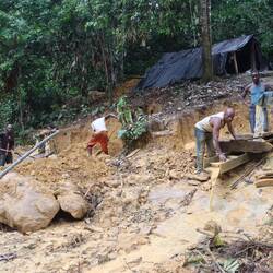 Die Goldgräber arbeiten 10 Stunden pro Tag...