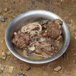 Ich bekomme Schildkröte...