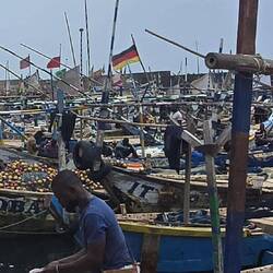 Und irgendwo auf einem der Fischerboot weht sogar die deutsche Fahne