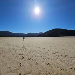 Awaroa à notre arrivée à marée basse... C'est le désert!!!!
