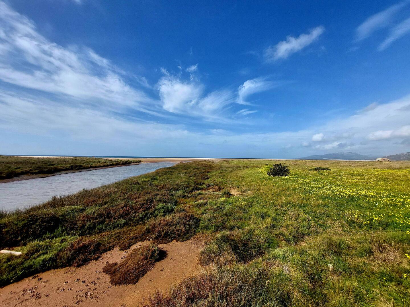 Naturpark Los lcornocales