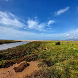 Naturpark Los lcornocales