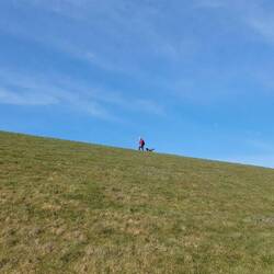 Auf der Suche nach einem Übergang....