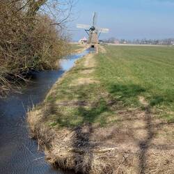 Holland wie im Bilderbuch.